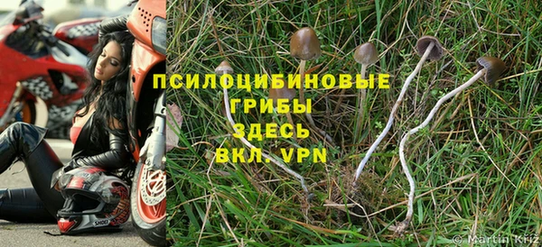 индика Алексеевка